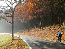 Eine nasse Straße durch herbstlichen Wald, in der Ferne ein Radfahrer