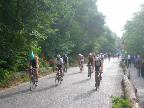 Radfahrende auf einer von Zuschauern gesäumten Allee