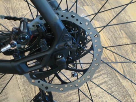 Detail eines Rads: Bremsscheibe und Sattel am Hinterrad