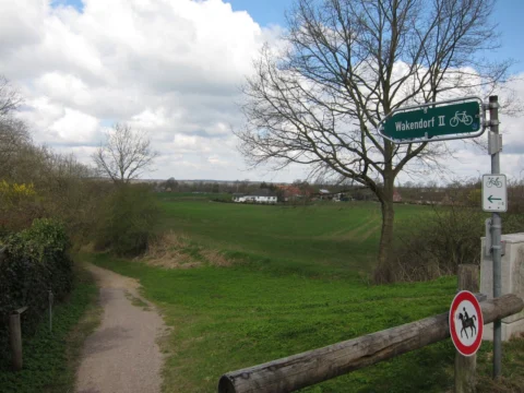 Ein Weg zwischen kahlen Bäumen unter Wolkenhimmel, rechts ein Verbotsschild