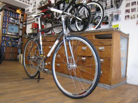 Fixie Checker Pig