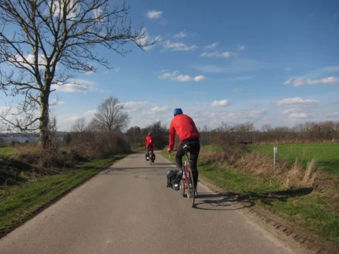 Zwei Fahrer auf einem Weg zwischen kahlen Bäumen