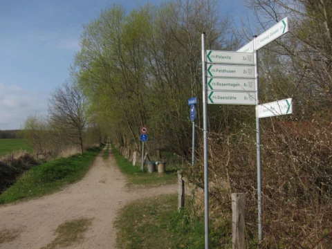 Ein grüner Wegweiser an einer Kreuzung zweier Feldwege