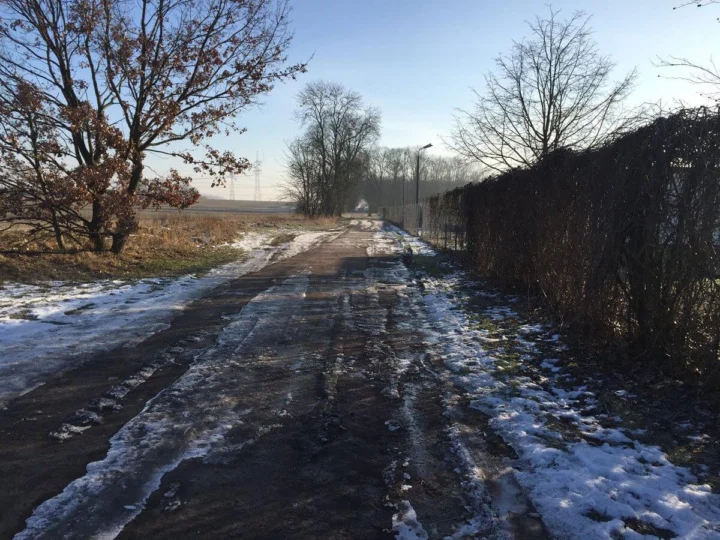 Ein matschiger Feldweg mit Schneeresten zwischen kahlen Bäumen
