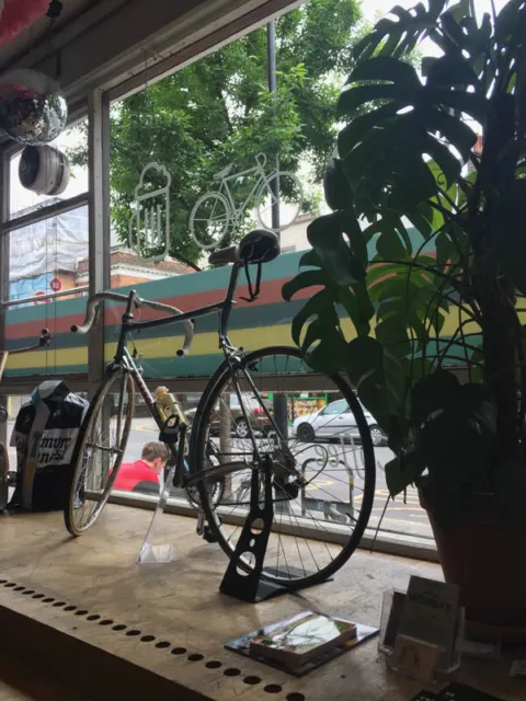 Rennräder stehen im Fenster eines Cafés zwischen Zimmerpflanzen
