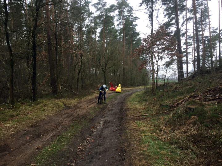 Zwei Fahrer auf einem Waldweg in der Ferne, ringsum Kiefern