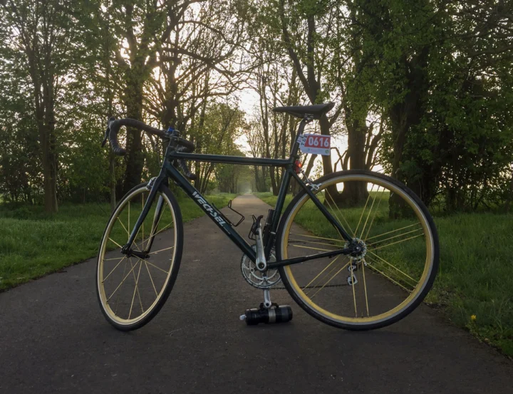 Ein schwarzes Rennrad steht auf einem Radweg im Abendlicht, dahinter eine Baumallee
