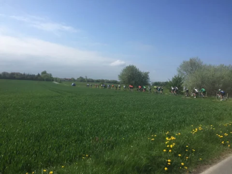 Ein Feld zieht sich als schmale Linie am Horizont über ein grünes Feld
