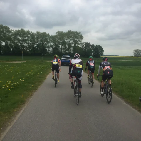 Eine Gruppe fährt einen schmalen Deichweg entlang, dahinter Baumreihen