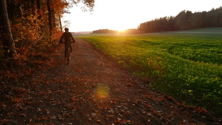 Ein Radfahrer auf einem Waldweg im Gegenlicht der tief stehenden Herbstsonne