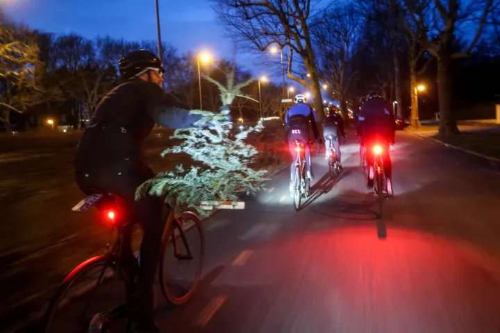 Ein Radfahrer transportiert einen Weihnachtsbaum quer auf dem Rad durch die Dämmerung, davor rote Rücklichter