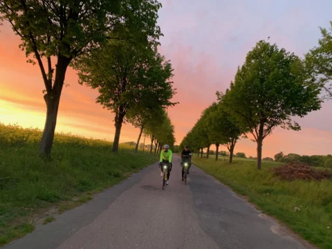 Zwei Fahrer auf einer Allee im Sonnenuntergang, der Himmel orange und violett