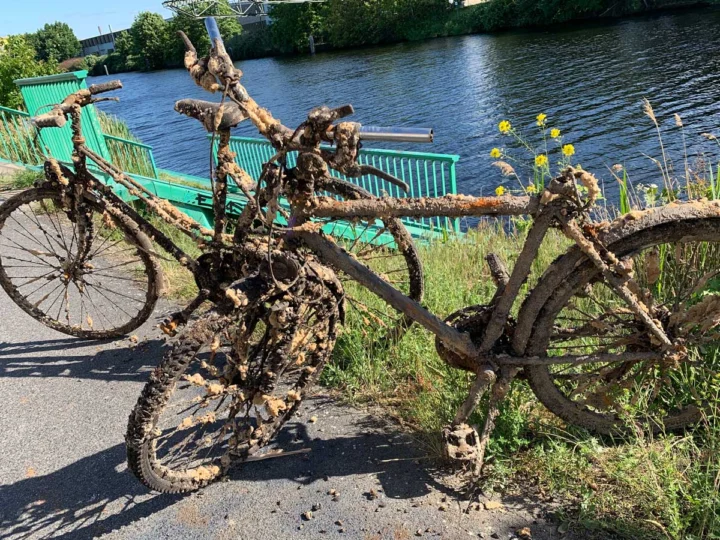 Ein völlig verschlammtes, mit Wasserpflanzen behangenes Fahrrad am Ufer eines Kanals
