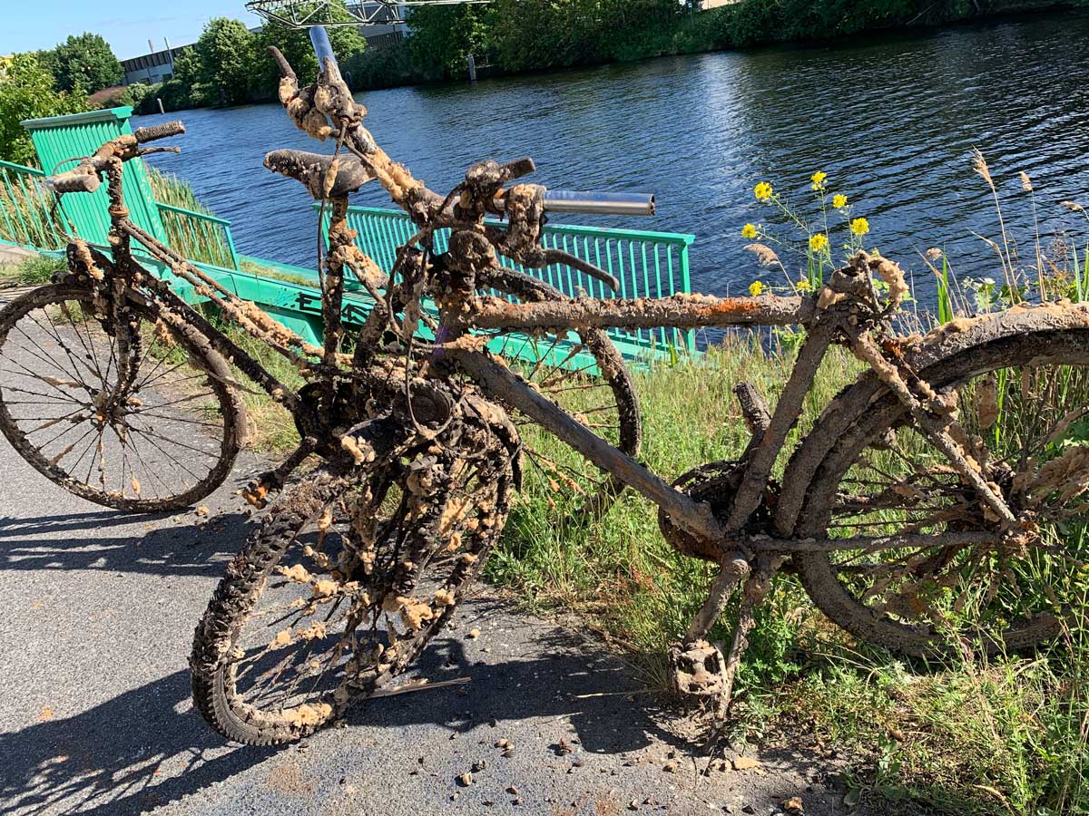 Fahrrad sucht Fisch…