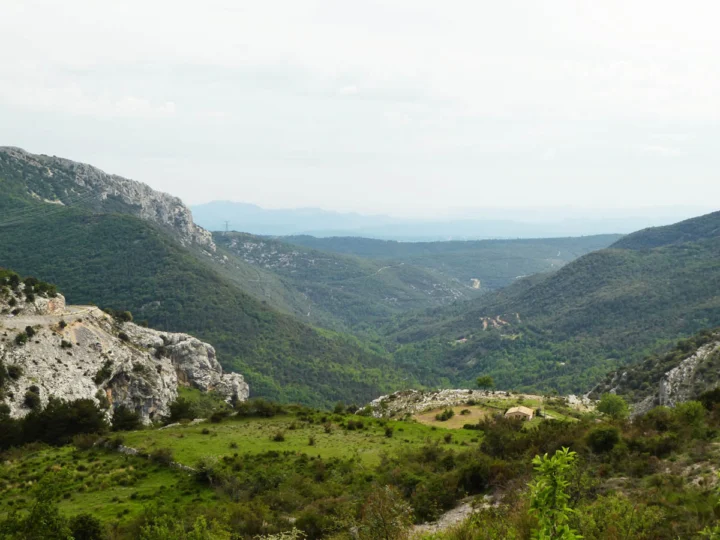 Eine bewaldete Schlucht in den südfranzösischen Bergen, dahinter Höhenzüge im Dunst