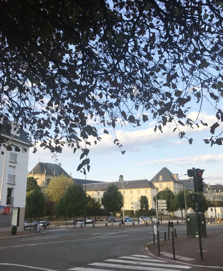 Blick durch Zweige auf eine breite Straßenkreuzung vor einem hellen Steingebäude