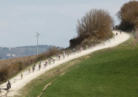 Das Feld zieht sich in langer Reihe über einen staubigen Schotterweg am Hang entlang