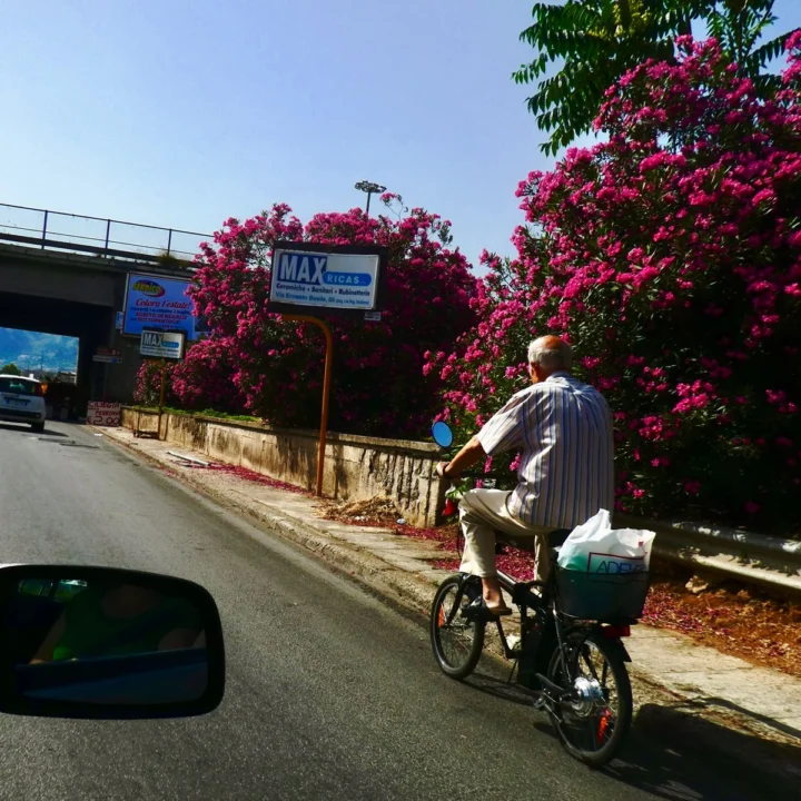 Ein Radfahrer mit Einkaufstüte am Lenker fährt eine Straße entlang, daneben blühender Bougainvillea