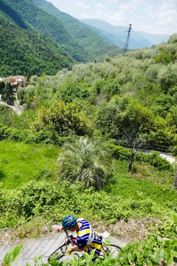 Blick von oben auf einen Radfahrer, der einen bewaldeten Hang hinaufkurbelt, dahinter die ligurischen Berge