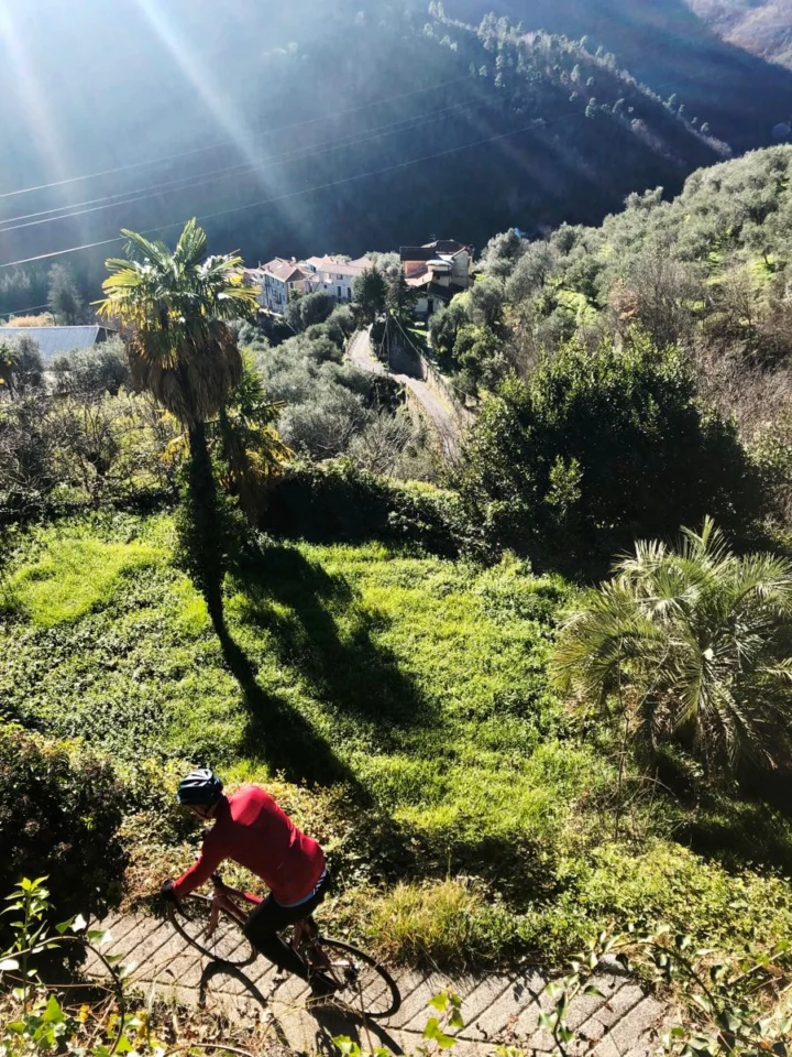 Ein Radfahrer im roten Trikot auf einem Weg zwischen Palmen und Macchia, dahinter ein Bergdorf
